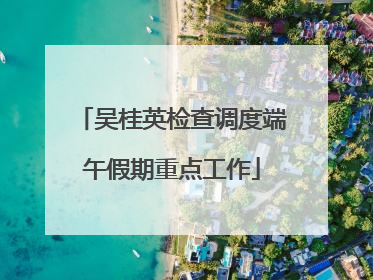 吴桂英检查调度端午假期重点工作