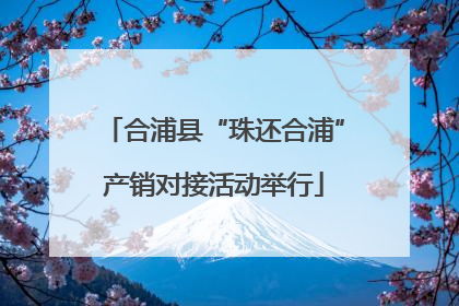 合浦县“珠还合浦”产销对接活动举行