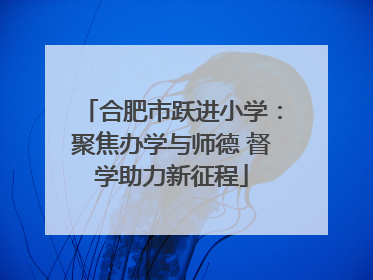 合肥市跃进小学：聚焦办学与师德 督学助力新征程