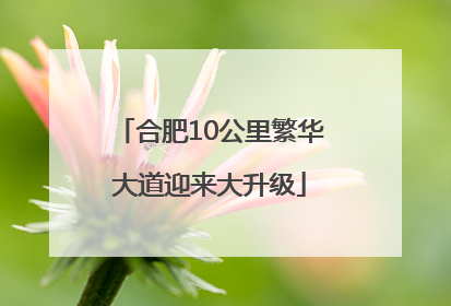 合肥10公里繁华大道迎来大升级