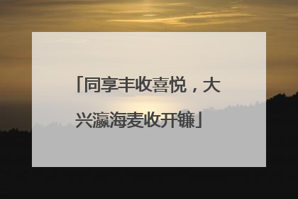 同享丰收喜悦，大兴瀛海麦收开镰