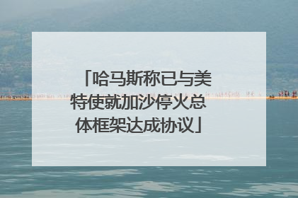 哈马斯称已与美特使就加沙停火总体框架达成协议
