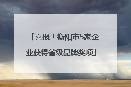 喜报！衡阳市5家企业获得省级品牌奖项