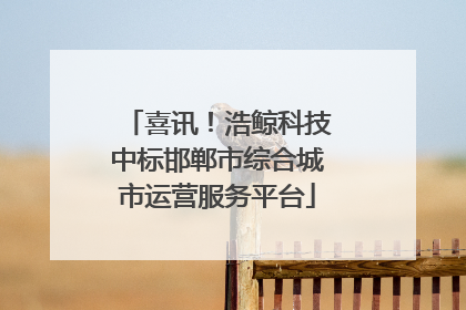 喜讯！浩鲸科技中标邯郸市综合城市运营服务平台
