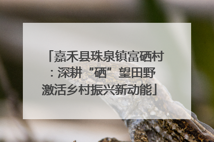嘉禾县珠泉镇富硒村：深耕“硒”望田野 激活乡村振兴新动能