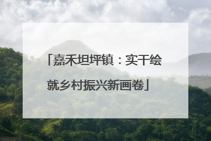 嘉禾坦坪镇：实干绘就乡村振兴新画卷