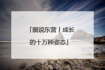 图说东营丨成长的十万种姿态