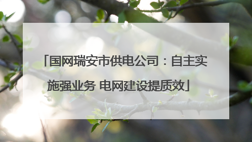 国网瑞安市供电公司：自主实施强业务 电网建设提质效