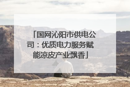 国网沁阳市供电公司：优质电力服务赋能凉皮产业飘香
