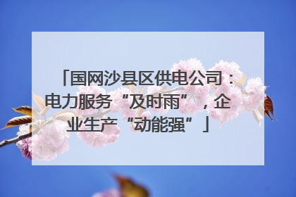 国网沙县区供电公司：电力服务“及时雨”，企业生产“动能强”