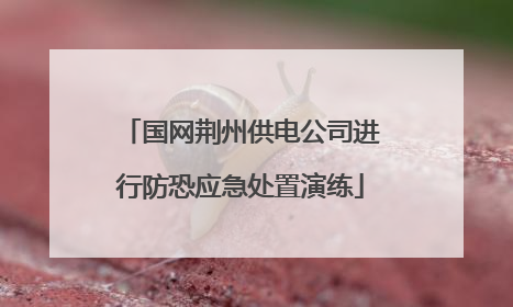 国网荆州供电公司进行防恐应急处置演练