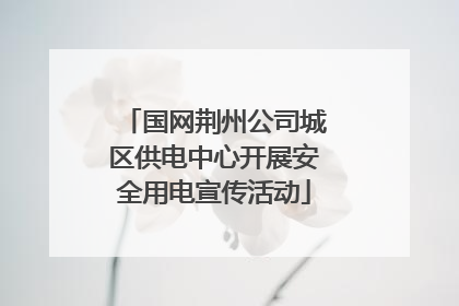 国网荆州公司城区供电中心开展安全用电宣传活动