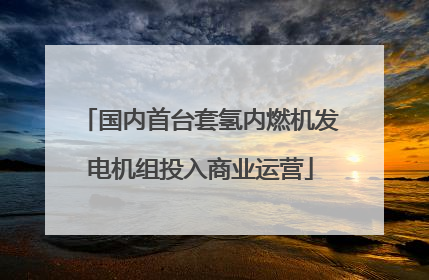 国内首台套氢内燃机发电机组投入商业运营