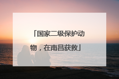 国家二级保护动物，在南昌获救