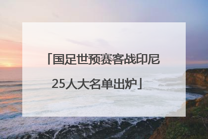 国足世预赛客战印尼25人大名单出炉