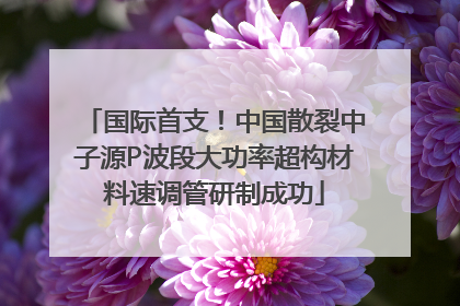 国际首支！中国散裂中子源P波段大功率超构材料速调管研制成功