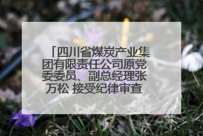 四川省煤炭产业集团有限责任公司原党委委员、副总经理张万松 接受纪律审查和监察调查