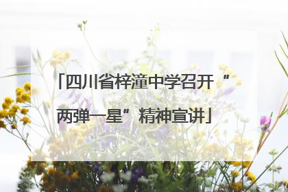 四川省梓潼中学召开“两弹一星”精神宣讲