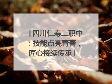 四川仁寿二职中：技能点亮青春，匠心接续传承