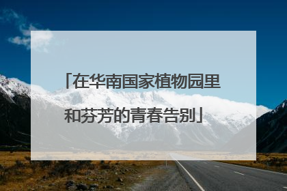 在华南国家植物园里和芬芳的青春告别