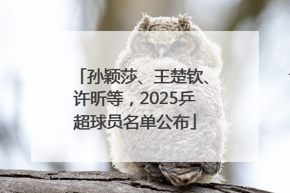 孙颖莎、王楚钦、许昕等，2025乒超球员名单公布