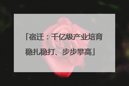 宿迁：千亿级产业培育稳扎稳打、步步攀高