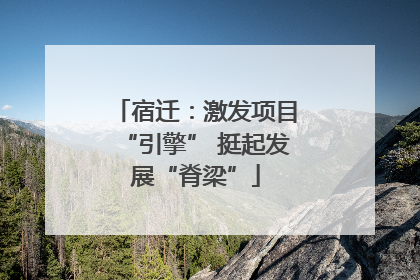 宿迁：激发项目“引擎” 挺起发展“脊梁”