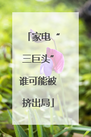 家电“三巨头”谁可能被挤出局
