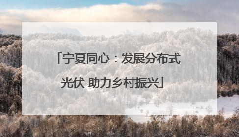 宁夏同心：发展分布式光伏 助力乡村振兴