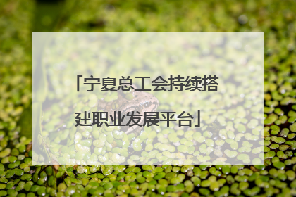 宁夏总工会持续搭建职业发展平台