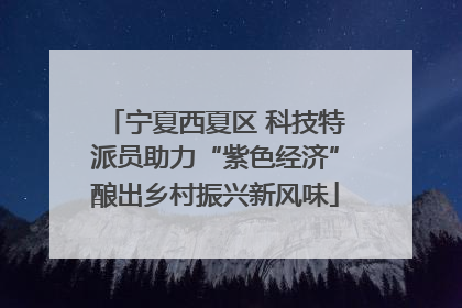 宁夏西夏区 科技特派员助力“紫色经济”酿出乡村振兴新风味