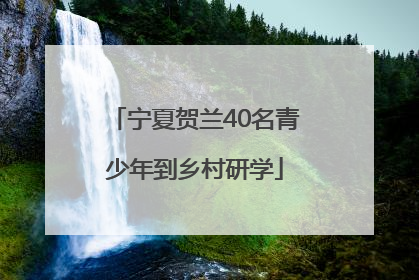 宁夏贺兰40名青少年到乡村研学