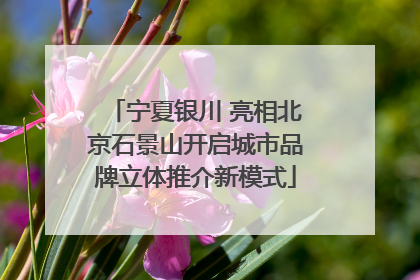 宁夏银川 亮相北京石景山开启城市品牌立体推介新模式
