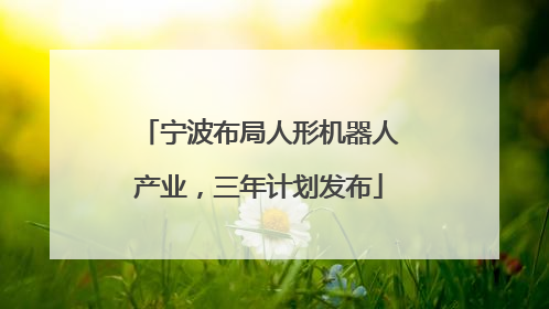 宁波布局人形机器人产业，三年计划发布