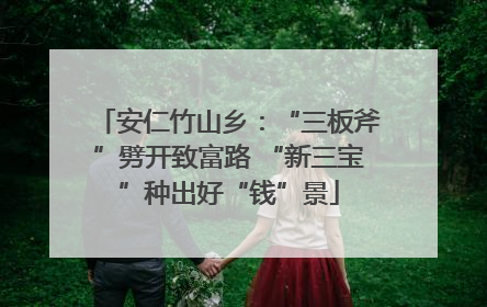 安仁竹山乡：“三板斧”劈开致富路 “新三宝”种出好“钱”景