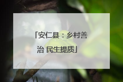 安仁县：乡村善治 民生提质