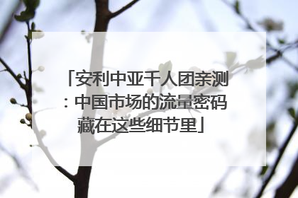 安利中亚千人团亲测：中国市场的流量密码 藏在这些细节里