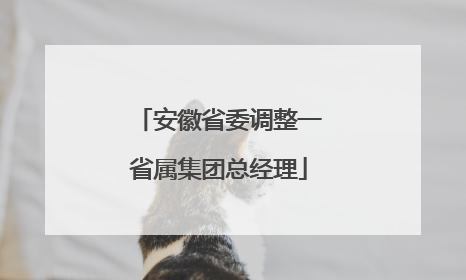 安徽省委调整一省属集团总经理
