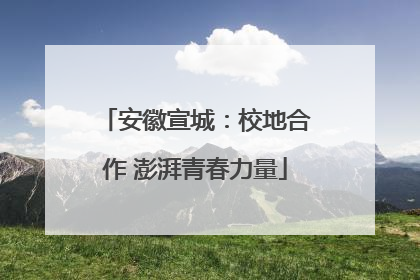 安徽宣城：校地合作 澎湃青春力量
