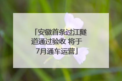 安徽首条过江隧道通过验收 将于7月通车运营