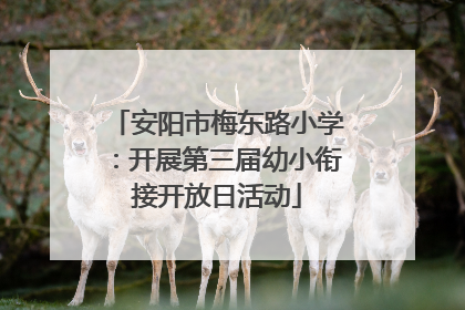 安阳市梅东路小学：开展第三届幼小衔接开放日活动