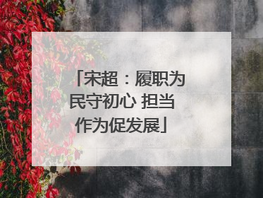 宋超：履职为民守初心 担当作为促发展