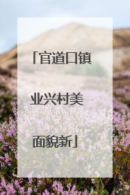 官道口镇 业兴村美面貌新