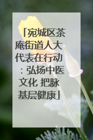 宛城区茶庵街道人大代表在行动：弘扬中医文化 把脉基层健康