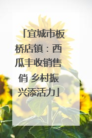 宜城市板桥店镇：西瓜丰收销售俏 乡村振兴添活力