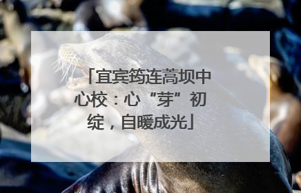 宜宾筠连蒿坝中心校：心“芽”初绽，自暖成光