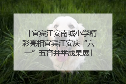 宜宾江安南城小学精彩亮相宜宾江安庆“六一”五育并举成果展