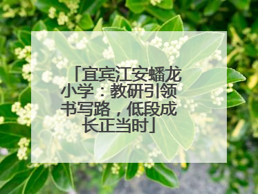 宜宾江安蟠龙小学：教研引领书写路，低段成长正当时