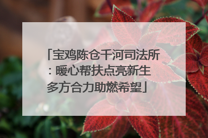 宝鸡陈仓千河司法所：暖心帮扶点亮新生 多方合力助燃希望
