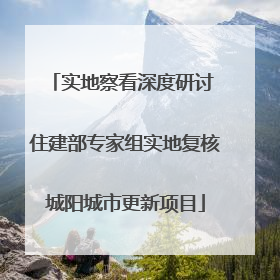 实地察看深度研讨 住建部专家组实地复核城阳城市更新项目